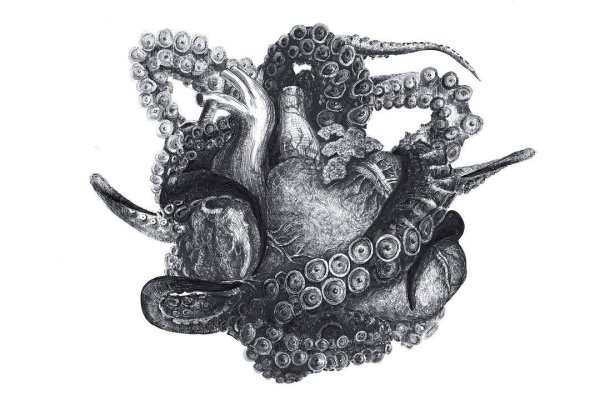 Сайты для даркнета