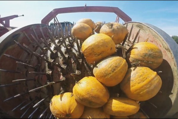 Кракен магазин наркоты