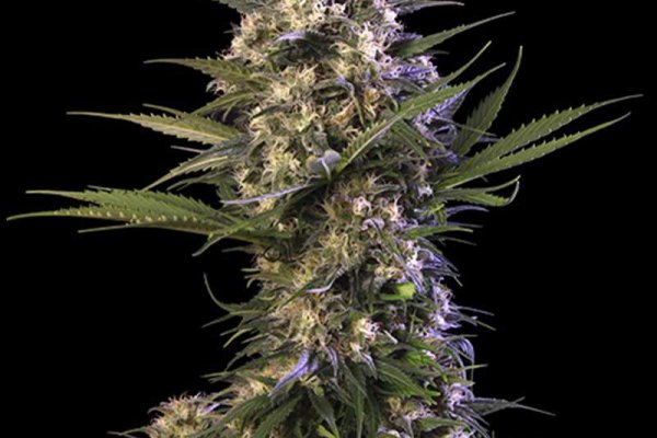 Кракен что можно купить