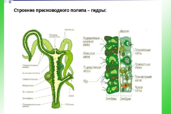 Kraken 13 at