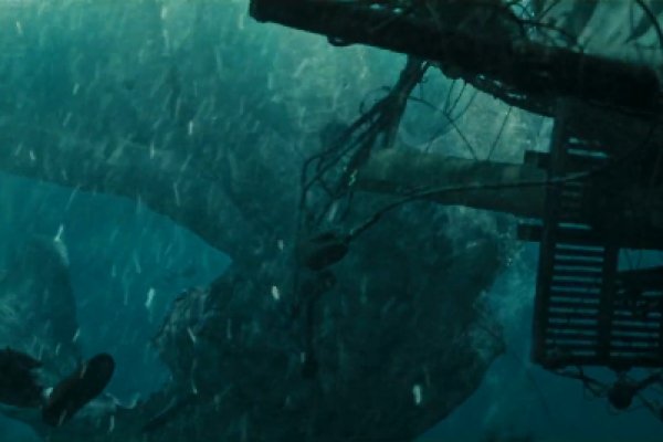 Спрут мега кракен