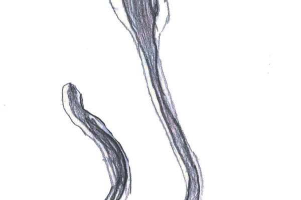 Как открыть ссылку с кракена