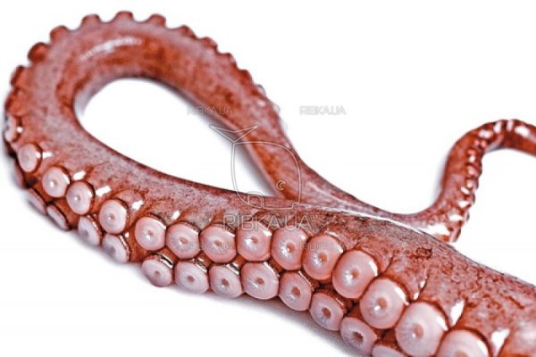 Кракен даркнет рабочая ссылка