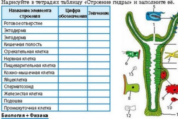Kraken зеркало даркнет
