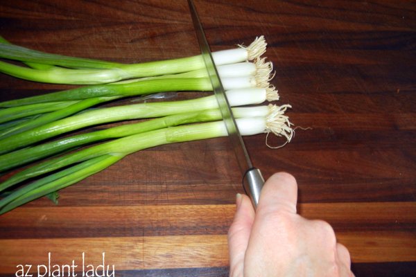 Кракен онион kraken dark link