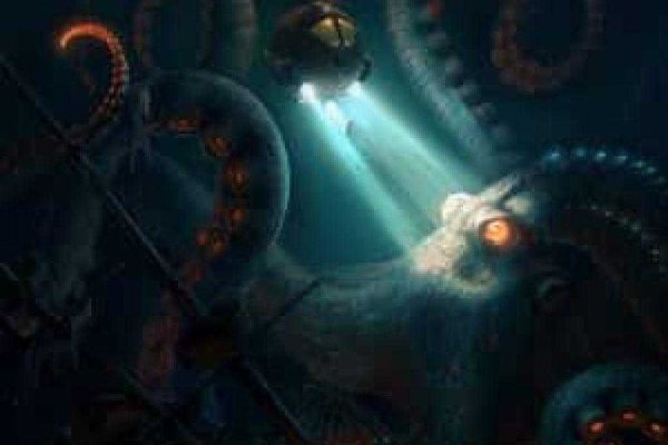 Прямая ссылка на кракен