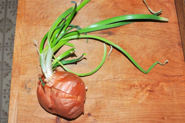 Что такое кракен шоп