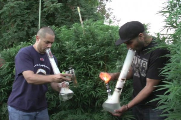 Кракен ссылка официальная на тор