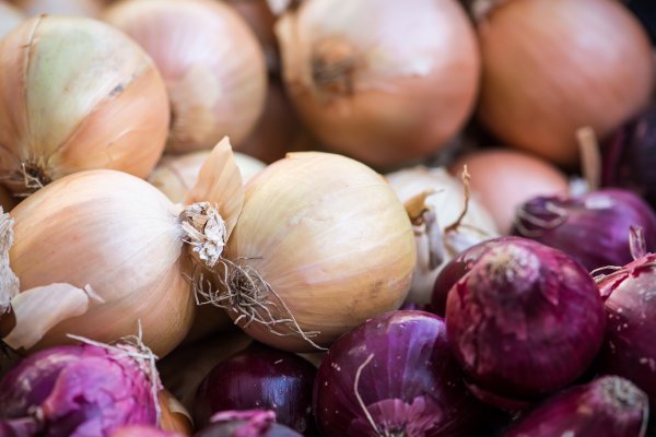 Где купить наркоты